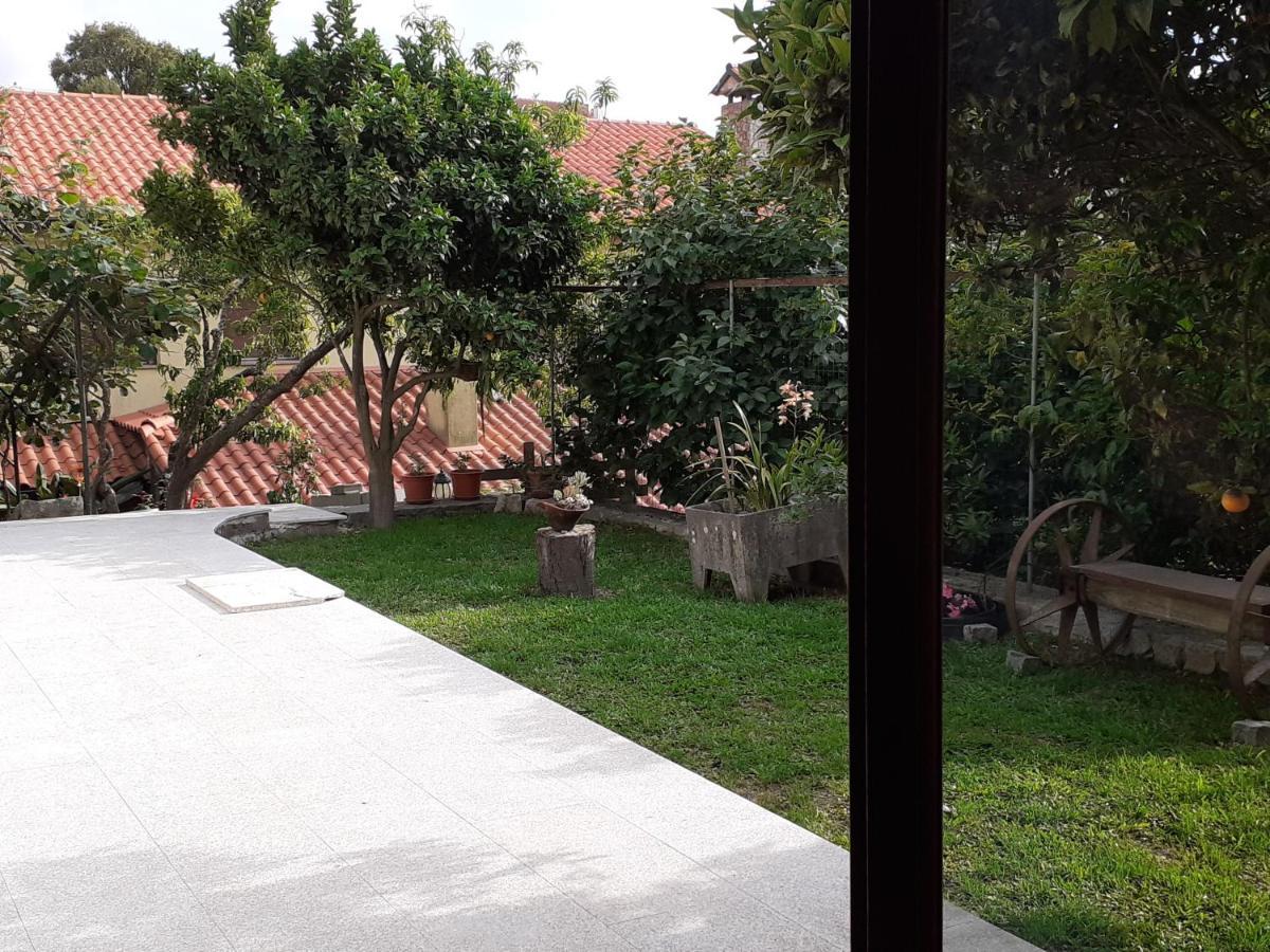 Apartament Casa De Santa Luzia A Vila Praia de Âncora Zewnętrze zdjęcie