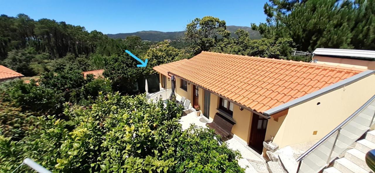 Apartament Casa De Santa Luzia A Vila Praia de Âncora Zewnętrze zdjęcie