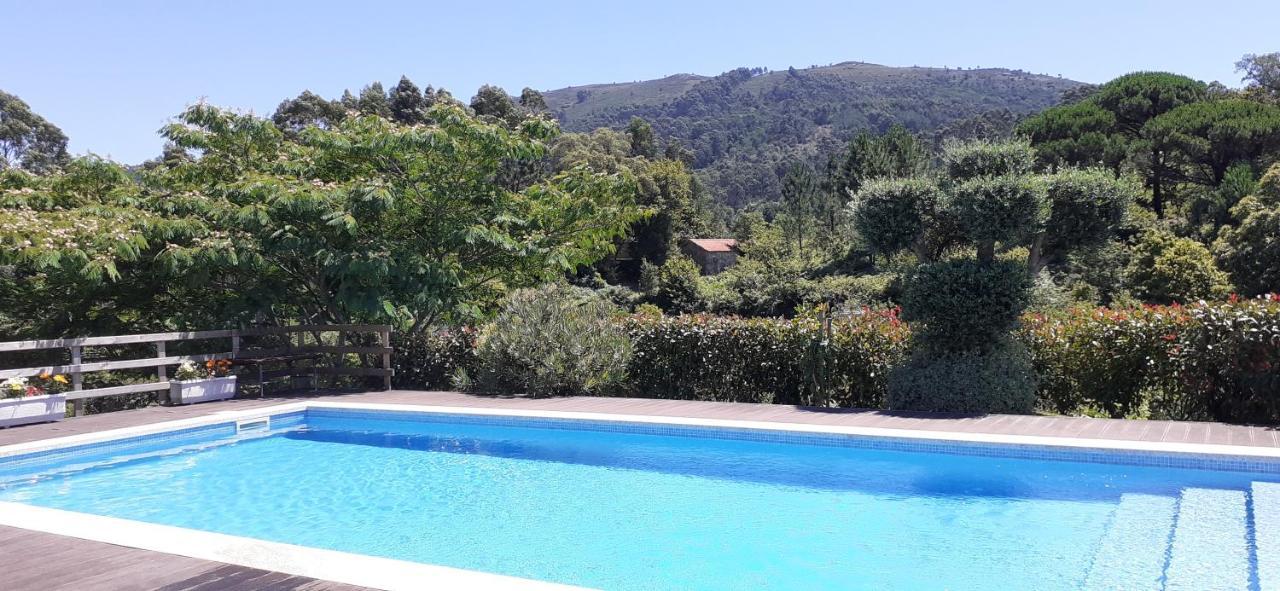 Apartament Casa De Santa Luzia A Vila Praia de Âncora Zewnętrze zdjęcie