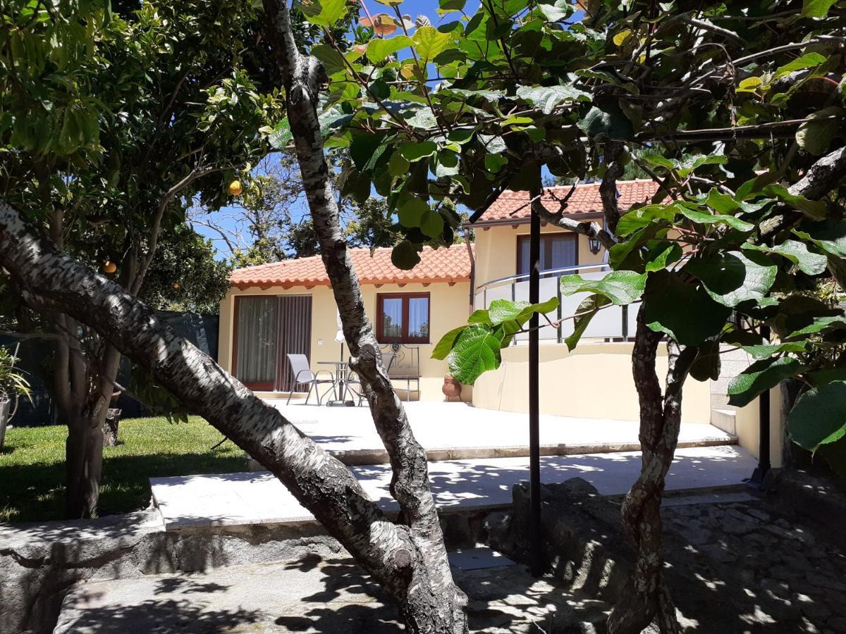 Apartament Casa De Santa Luzia A Vila Praia de Âncora Zewnętrze zdjęcie