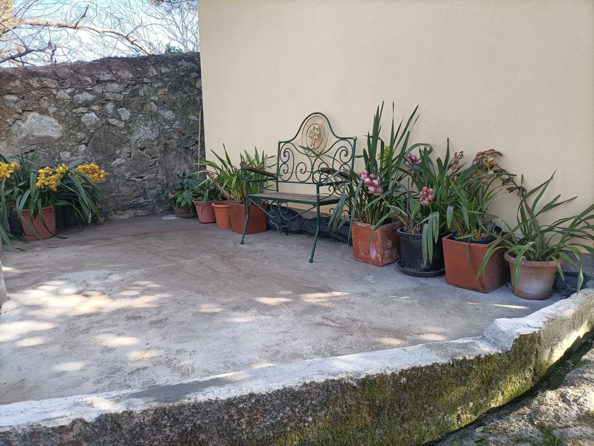 Apartament Casa De Santa Luzia A Vila Praia de Âncora Zewnętrze zdjęcie