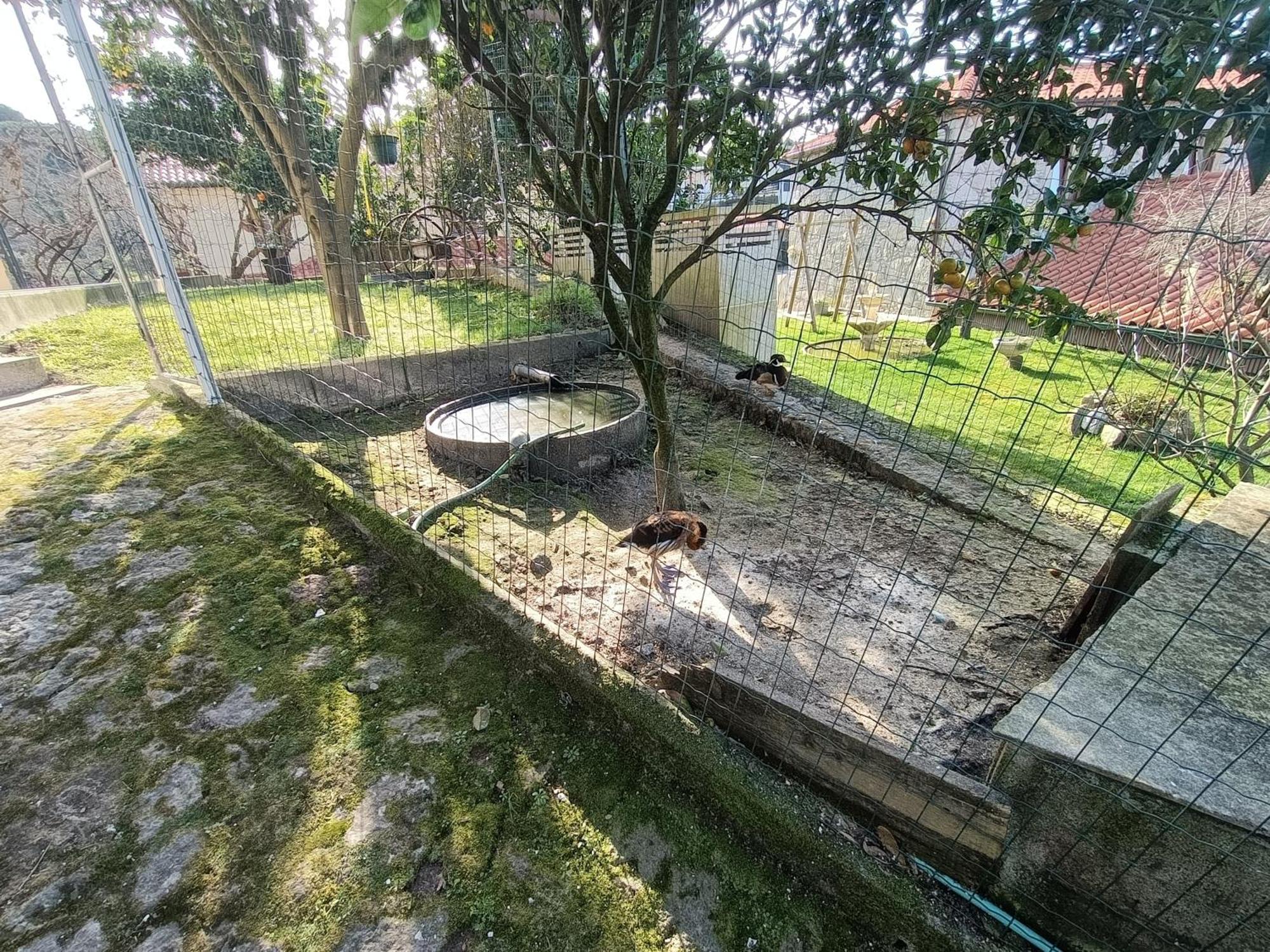 Apartament Casa De Santa Luzia A Vila Praia de Âncora Zewnętrze zdjęcie